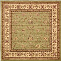 Traditional Odyssey Area Rug Collection