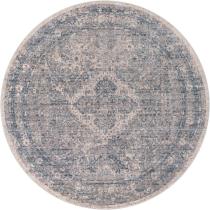 Traditional Relic Area Rug Collection